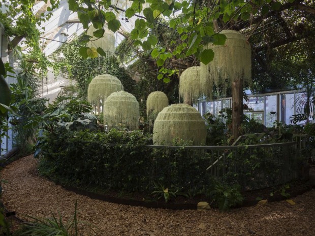 Rainforest, Patrick Nadeau à Chaumont-sur-Loire