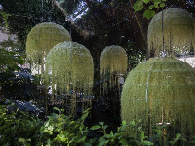 Rainforest, Patrick Nadeau à Chaumont-sur-Loire