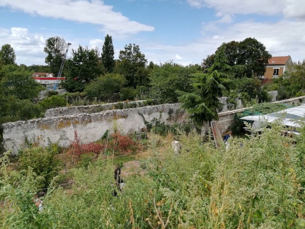 Visite de Stéphane Bern aux murs à pêches, août 2020