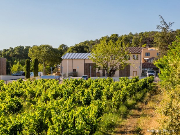 Rénovation du château Mongin