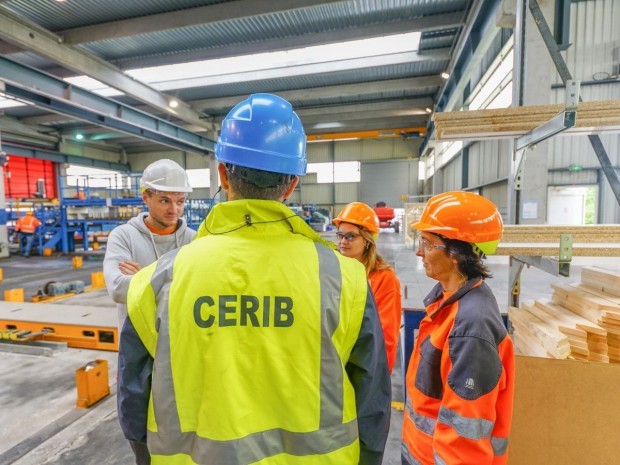 Cerib