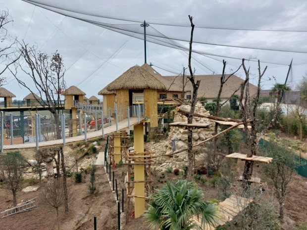 Chantier volière sud-américaine Beauval