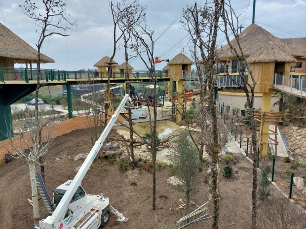 Chantier volière sud-américaine Beauval