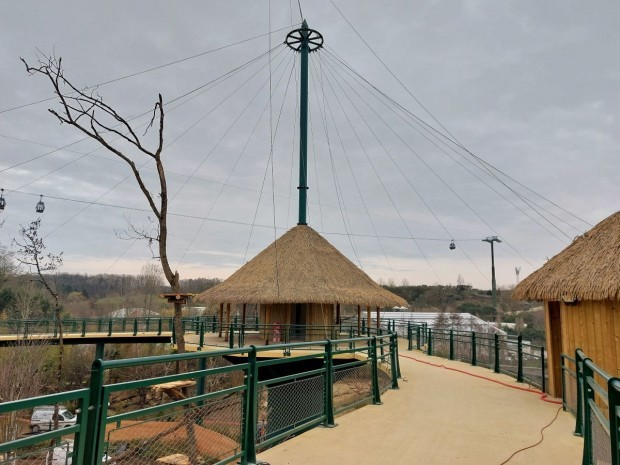 Chantier volière sud-américaine Beauval