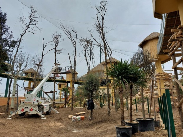 Chantier volière sud-américaine Beauval