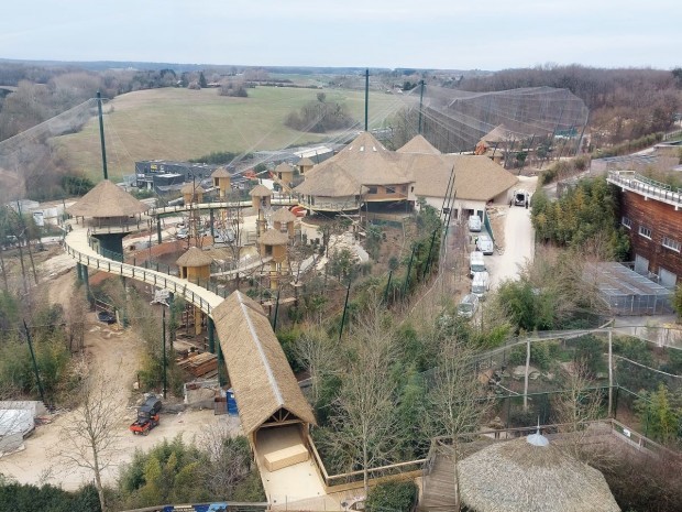 Chantier volière sud-américaine Beauval