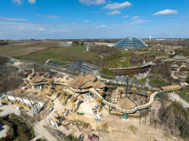 Chantier volière sud-américaine Beauval