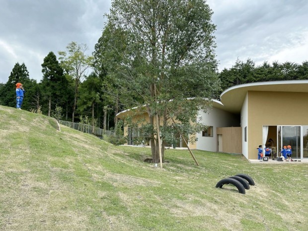 Japon école maternelle children's forest