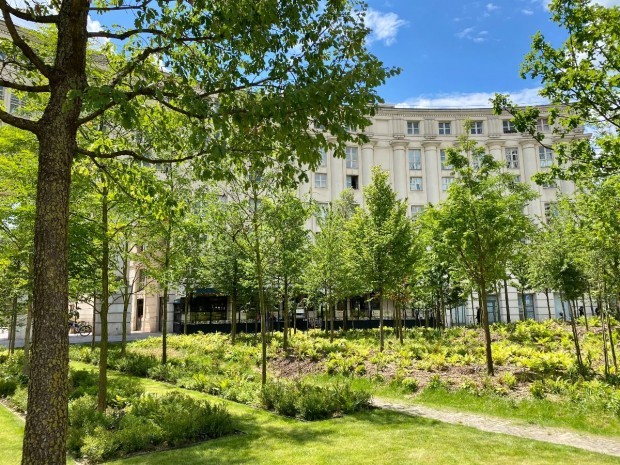 Paris forêt urbaine place de la Catalogne Anne Hidalgo