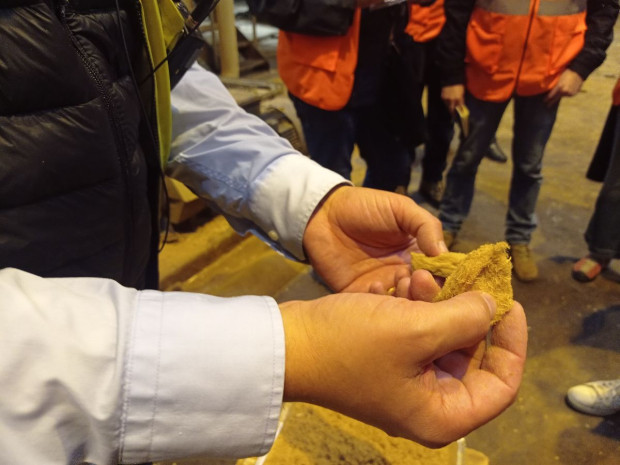 Fibre de bois