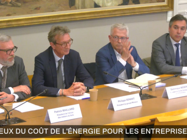Table ronde "les enjeux du coût de l'énergie pour les entreprises", Sénat, 27 mai 2025