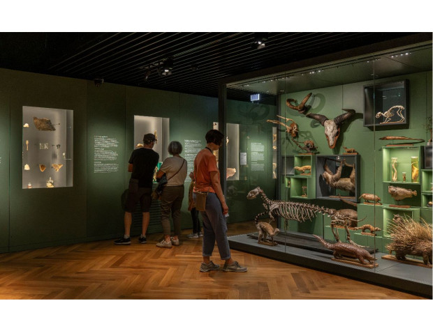 Musée zoologique de Strasbourg