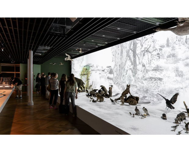 Musée zoologique de Strasbourg
