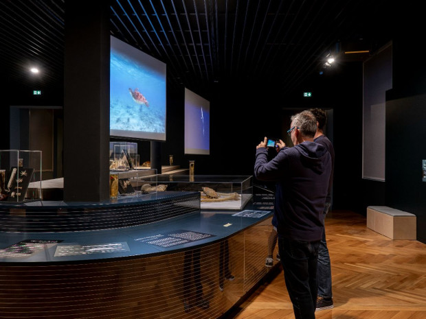Musée zoologique de Strasbourg