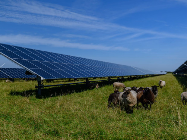 Agrivoltaïsme Agrivoltaïsme
