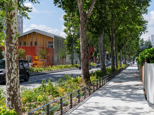 Arbres de pluie installés cours Émile-Zola à Villeurbanne 