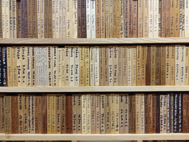 Tellier Brise Soleil lames en bois