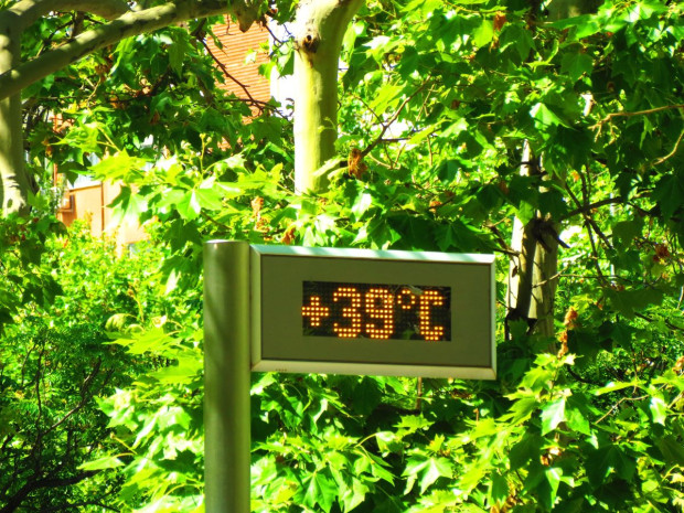 Canicule en ville