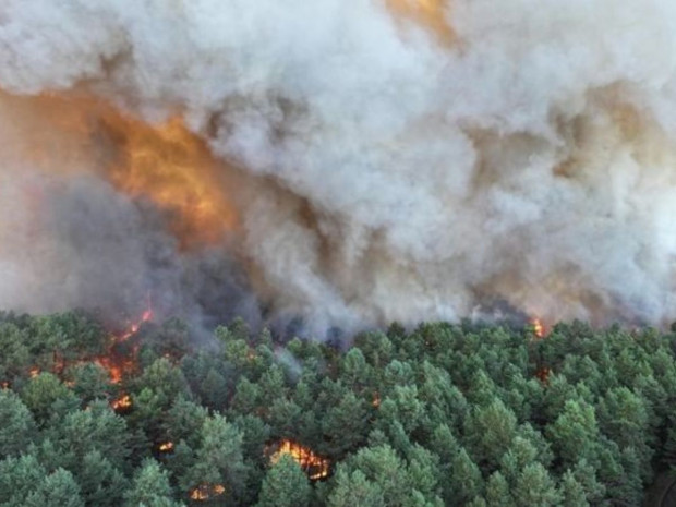 Incendie for&ecirc;t de Fontainebleau