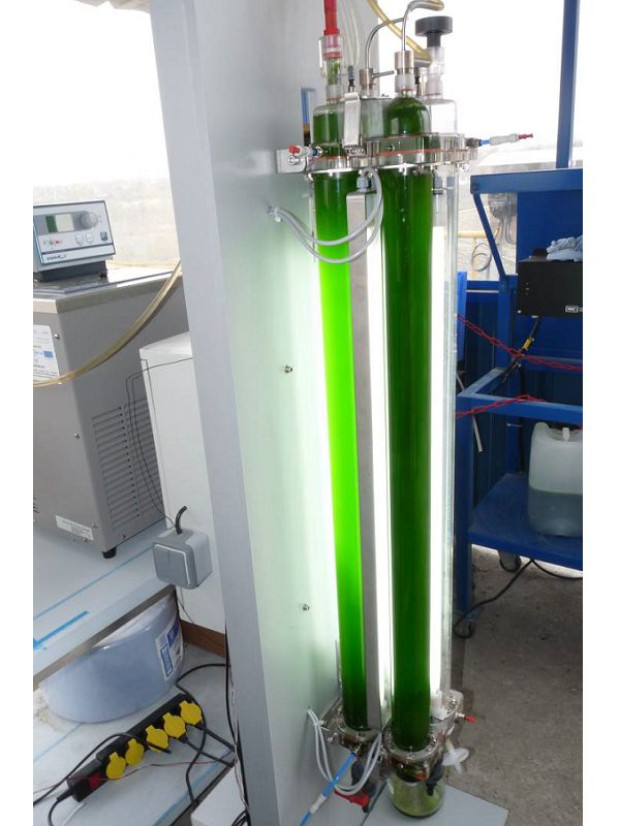 Ciments calcia micro-algues CO2