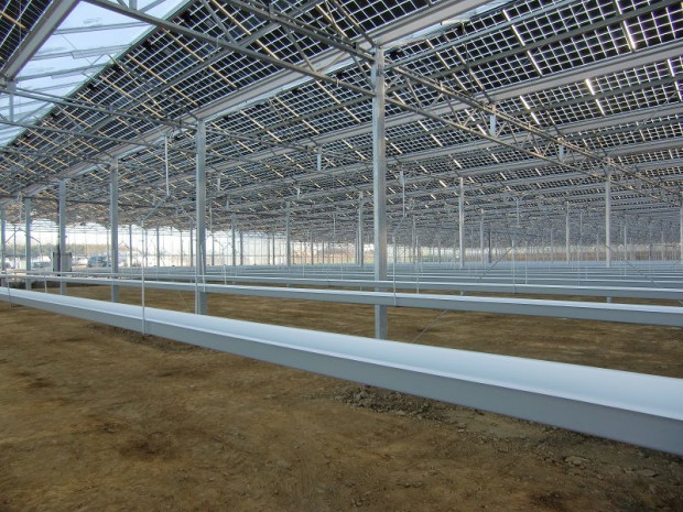 Schott Solar serres Marotti&egrave;res