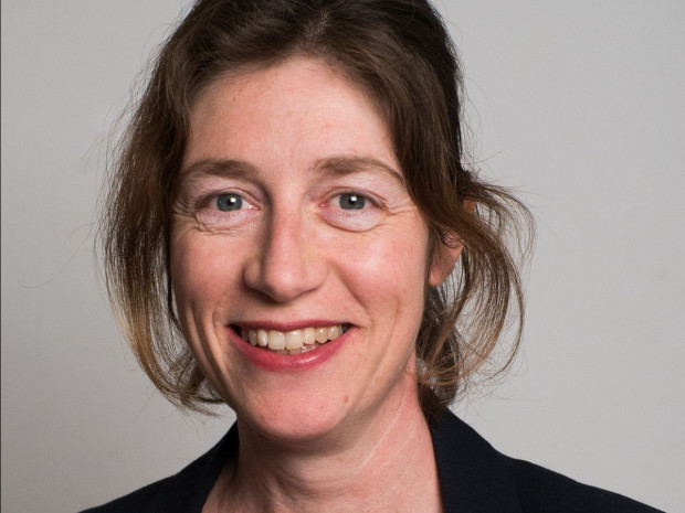H&eacute;l&egrave;ne Peskine, PUCA