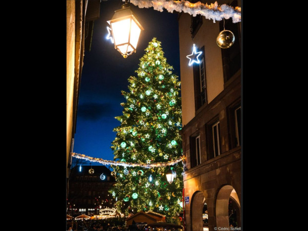 Sapin