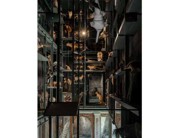 Mus&eacute;e zoologique de Strasbourg