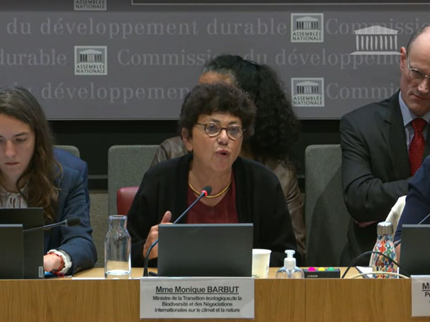 Monique Barbut, ministre de la Transition &eacute;cologique, audit&eacute;e &agrave; l\'Assembl&eacute;e nationale, le 24 octobre 2025.