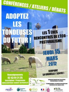 Eco-pastoralisme