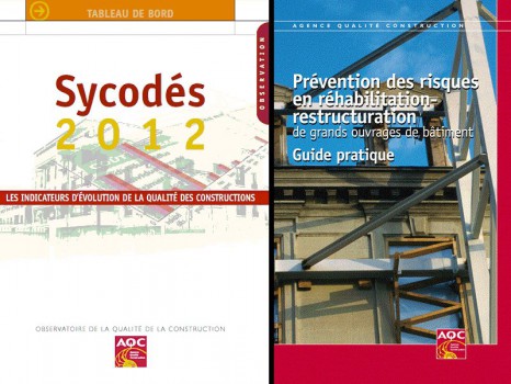 Sycodés 2012 AQC