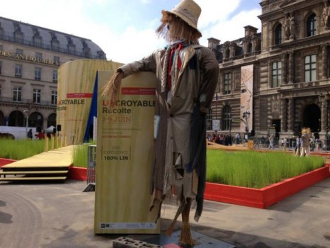 Un gigantesque champ de lin en plein Paris