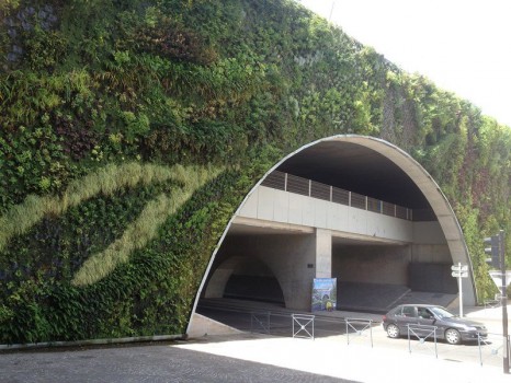 MUR VEGETAL ET MUR D'EAU - Maisons Créoles