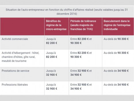 Chiffres affaires autoentrepreneur