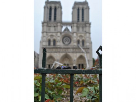 Les cendres de la toiture de Notre-Dame dispersées dans le quartier