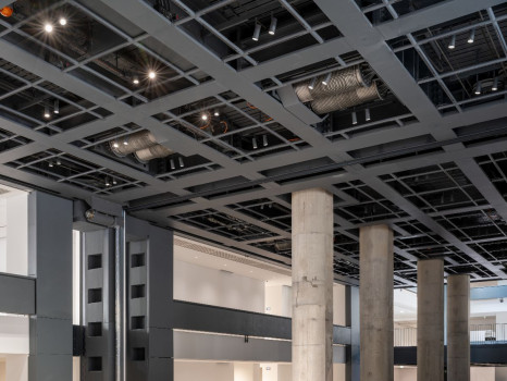 Fondation Cartier pour l\'art contemporain Jean Nouvel