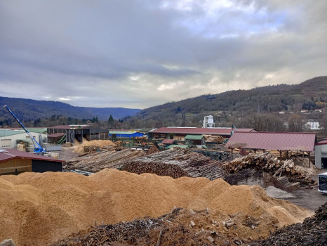 Scierie Germain Mougenot et entreprise Lorraine pellets