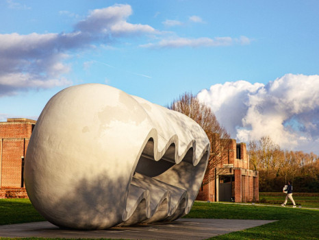 Le mus&eacute;e d\'art moderne de Lille