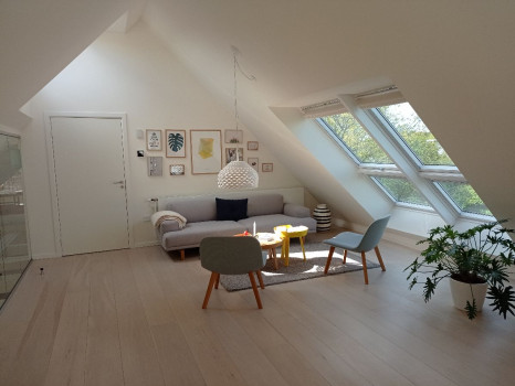 Fen&ecirc;tre Velux