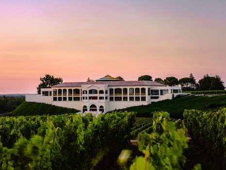 Ch&acirc;teau Plain Point Fronsac