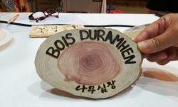 BOIS DURAMHEN